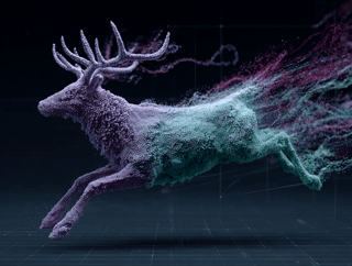 Entity detected and tracked within the particle field